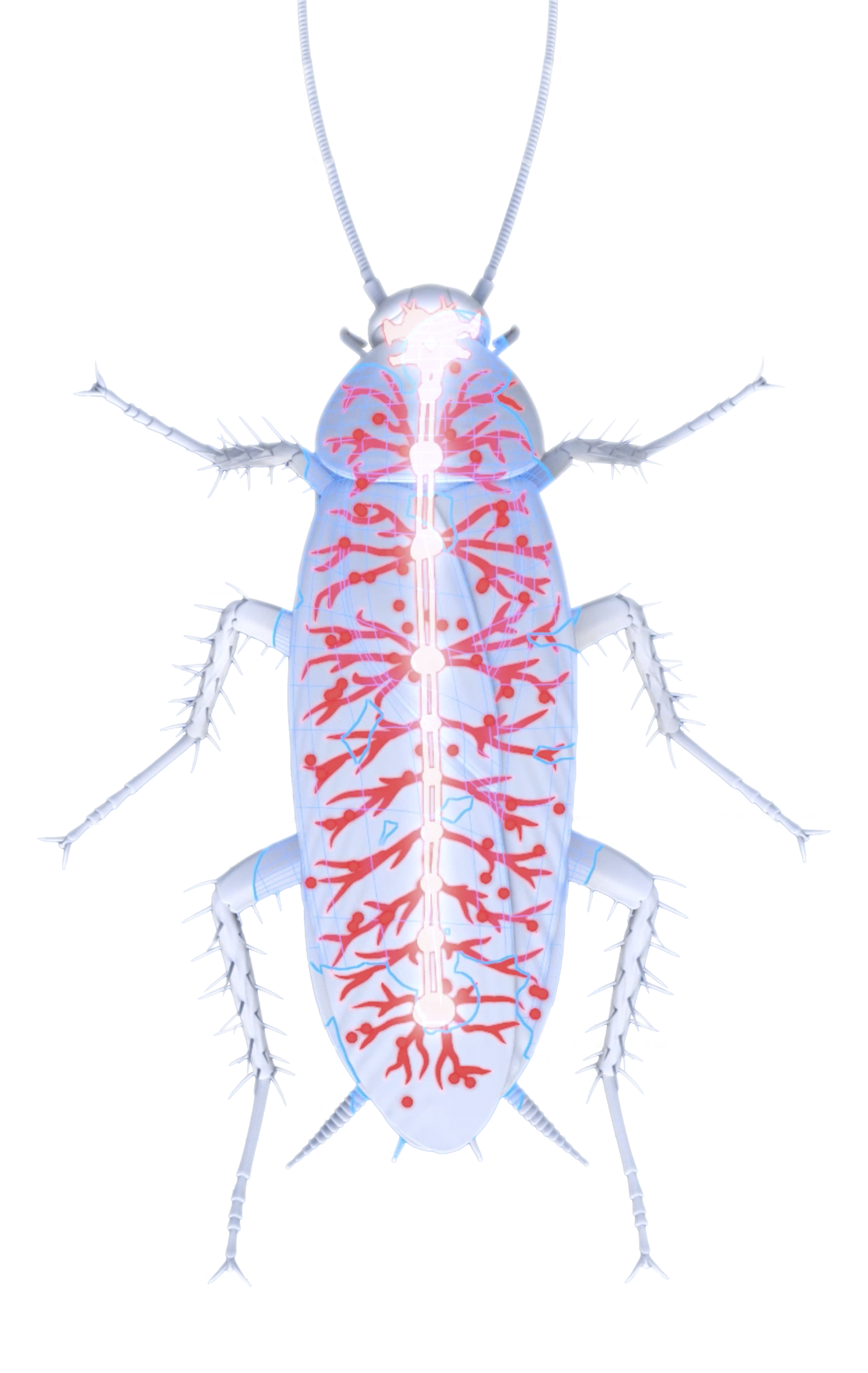 Zevo Safe* & Naturallyinspired Insect Traps, Sprays, & Repellents